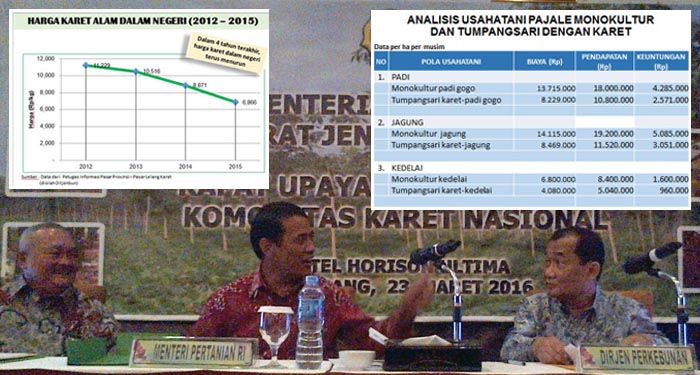 Gernas Karet Terapkan Tumpang Sari dengan Pajale pada Fase TBM